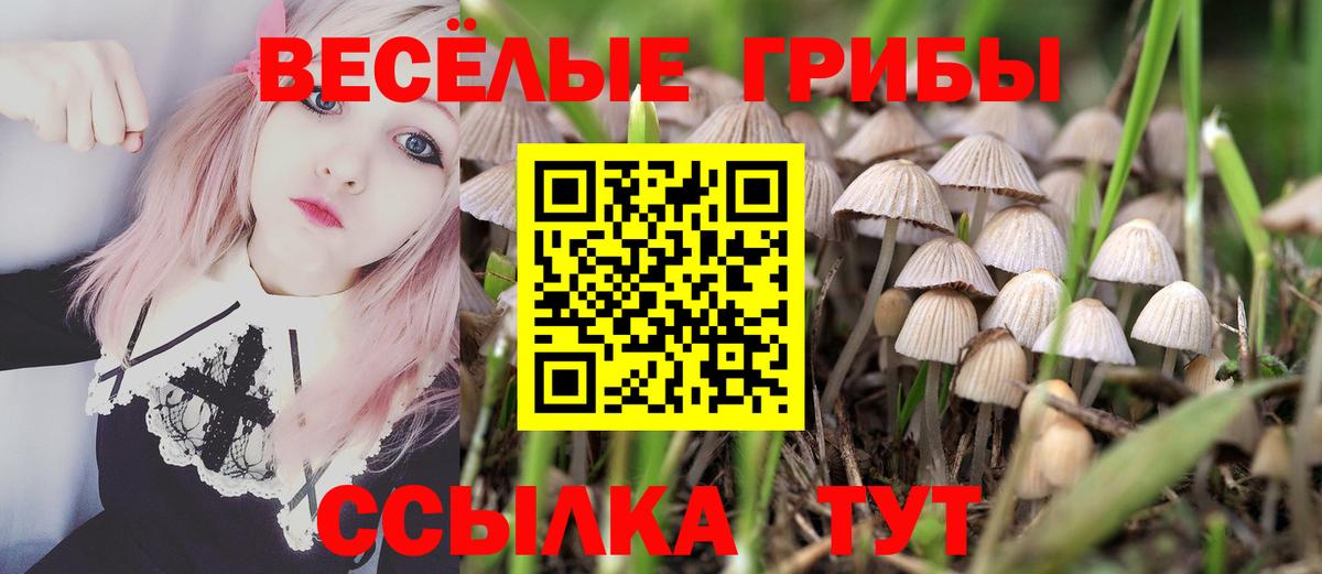 Галлюциногенные грибы прущие грибы  Вход с VPN  Астрахань 