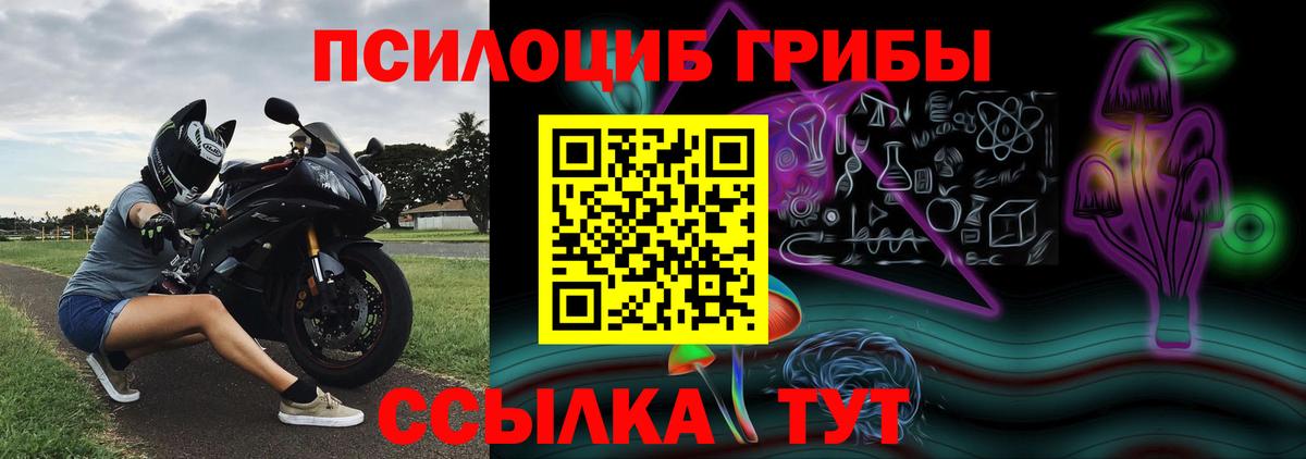 Галлюциногенные грибы GOLDEN TEACHER  Астрахань  Псилоцибиновые грибы Magic Shrooms 