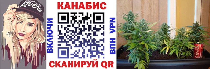 Бошки марихуана White Widow  Астрахань 